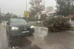 İzmir’de fırtına ağaçları devirdi: 5 araç hasar gördü