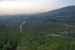 İzmir’de ormanlara giriş yasağı başladı