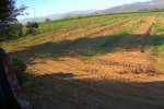 İzmir’deki eğitim uçağı kazasının görüntüsü ortaya çıktı