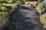 Jandarma, alevlerin arasındaki kaplumbağa ve yavrularını kurtardı