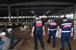 Jandarmadan kurban pazarlarında dron destekli denetim