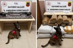 Jandarmadan uyuşturucu ve kaçakçılık operasyonu: 200 kilogram kaçak tütün ele geçirildi