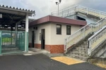 Japonya’da tren istasyonundaki umumi tuvalette ayı saldırısı