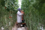 Jeotermal, 2025’te yatırım uykusundan uyandı