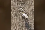 Kaçak avcılara dronlu takip