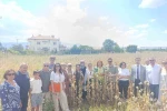 Kadın girişimciler Kuşadası’ndan Isparta’ya gidip haşhaş hasadı yaptı