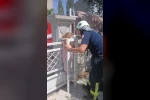 Kafası kapıya sıkışan 4 yaşındaki çocuğun imdadına itfaiye yetişti