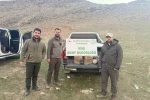 Kafes avcılığı yapan şahıs suçüstü yakalandı: 20 bin TL ceza