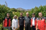 Kahramanmaraş’ta 22 bin sumak fidanı verime geçti