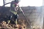 Kahramanmaraş’ta ahır yangını korkuttu
