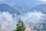 Kahramanmaraş’ta bahçe yangını