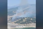 Kahramanmaraş’ta orman yangını