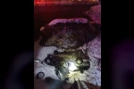 Kahramanmaraş’taki kazada ağır yaralı yolcu hayatını kaybetti 