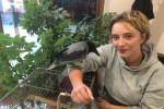 Kahvehane bağımlısı karga mahallenin maskotu haline geldi