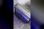 Kahverengi kokarcaya ultraviyole çözüm