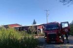 Kamışlık alanda başlayan yangın gıda toptancı deposuna sıçradı