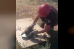 Kanala düşen yavru köpek kurtarıldı