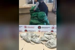 Kapıkule’de 760 kilo kaçak midye ele geçirildi