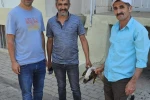 Kapılara toslayan kuzunun sahibi küpesinden bulundu