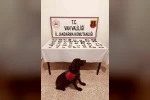 Kapsülün içinden ilaç yerine uyuşturucu çıktı