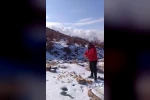 Kar yağışı Karacadağ’daki yaban hayatını zorladı