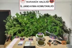 Karabük’te uyuşturucu operasyonu: 3 kişi tutuklandı