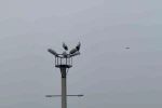 Karabük’ün simgesi haline gelen leylek dronla görüntülendi