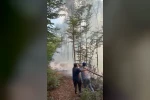 Karacabey’de orman yangını