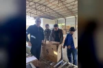 Karacasu’da tütünler paketlenmeye başladı, üretici fiyatlardan dert yandı