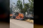 Karadağ Ormanlık alanda çıkan yangın korkuttu 