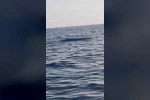 Karadeniz kıyılarında bir insansız deniz aracı şüphesi daha