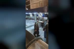 Karadeniz’de hamsi bolluğu