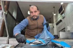 Karadeniz’de hamsi yerini istavrite bıraktı