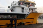 Karadeniz’den bu sezon adeta hamsi fışkırıyor