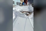 Karadenizli zekası