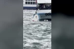 Karaköy’de yolcu vapuru balıkçı teknesine çarptı: Denize düşen kişi kurtarıldı