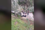 Karamürsel’de feci kaza: 20 yaşındaki genç hayatını kaybetti