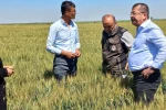 Karapınar’da dolu afetinin etkilediği alanlarda inceleme