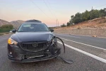 Karayoluna çıkan sürüye otomobil çarptı