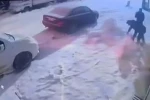 Kardan adama kafa attı
