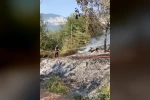 Kardeşini ahıra kilitleyip ateşe verdiği iddia edilen şahsın yargılamasına devam edildi