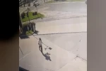Kargadan kaçarken taklalar attı, o anlar kamerada 