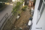 Karganın yumurta hırsızlığı kameraya yansıdı