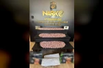 Kargo ile uyuşturucu sevkiyatına polis ‘dur’ dedi