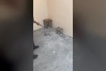 Kars’ta evin bahçesine giren yılan itfaiyeyi harekete geçirdi