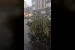 Kars’ta fırtına çatıları uçurdu, ağacı kökünden söktü