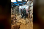 Kars’ta kurt dehşeti: Aç kurtlar 130 koyunu telef etti