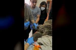 Kars’ta yaralı bozayının tedavisi yapılıyor