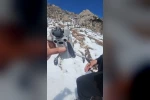 Kartal droneyi havada kaptı, zirvede bıraktı 