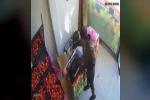Kasada kimse yokken alışverişini yaptı, parasını bırakıp gitti: O anlar kamerada